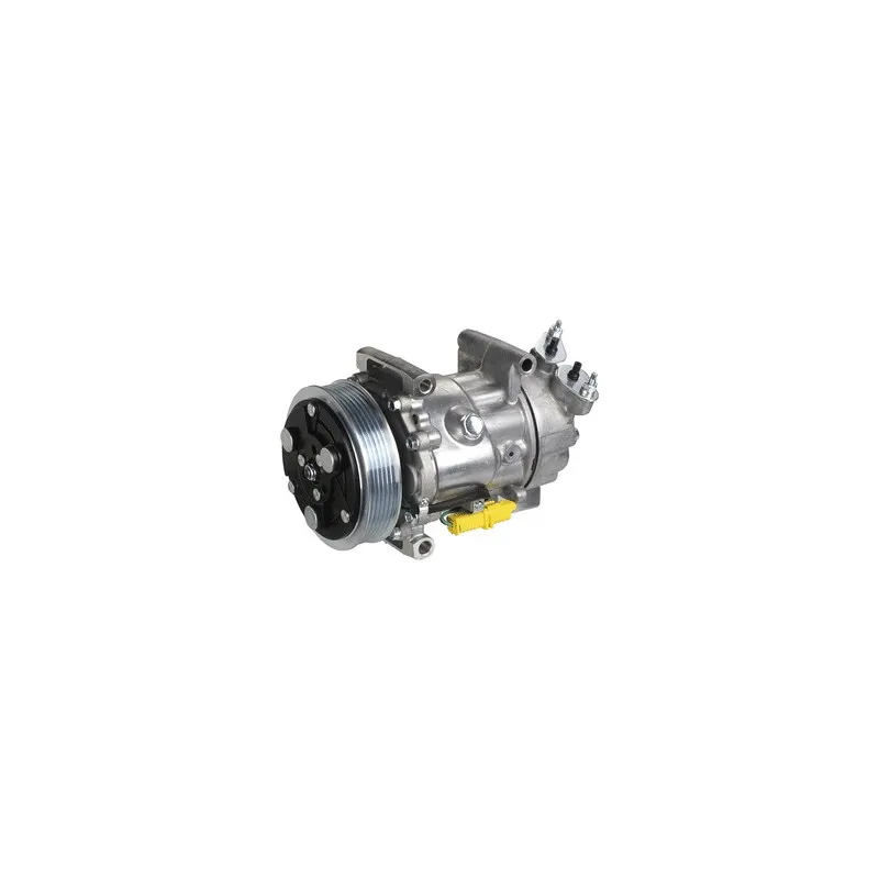 Compresseur, climatisation DELPHI TSP0159851