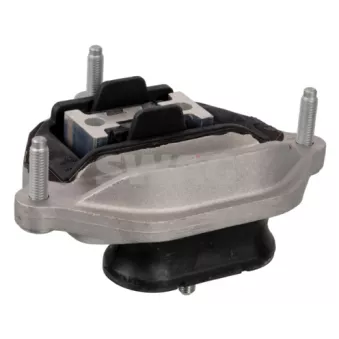 Suspension, boîte automatique SWAG 33 10 1491