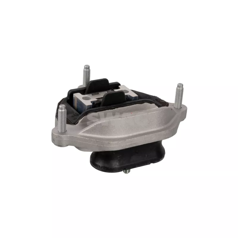 Suspension, boîte automatique SWAG 33 10 1491