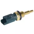 Sonde de température, liquide de refroidissement SWAG 33 10 9239 - Visuel 2