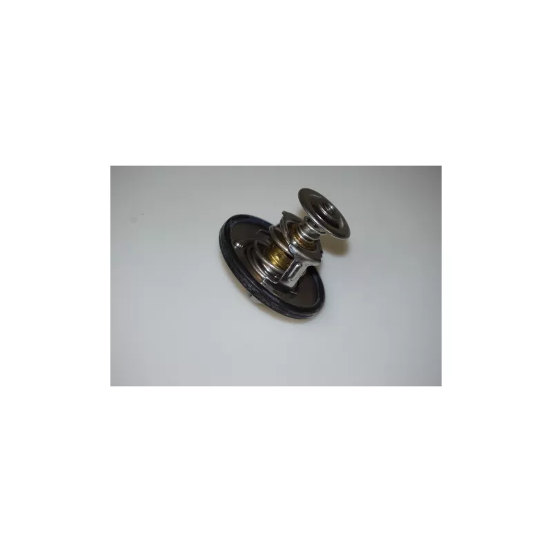 Thermostat, liqiuide de refroidissement Dr!ve+ DP2310.14.0246