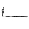 Tuyau, carburant de fuite TEKNÖR BPP-RE-003 - Visuel 3
