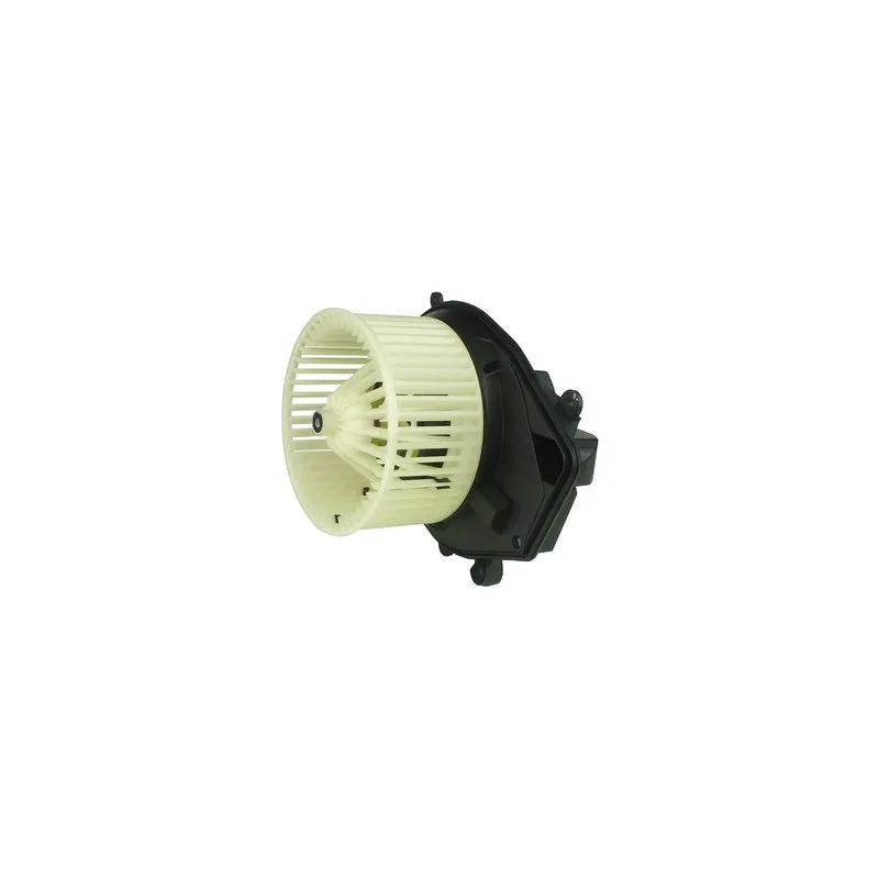 Pulseur d'air habitacle DELPHI TSP0545029