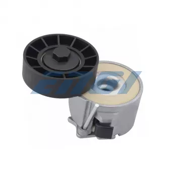 Poulie-tendeur, courroie trapézoïdale à nervures ENGI TENSIONER XM985