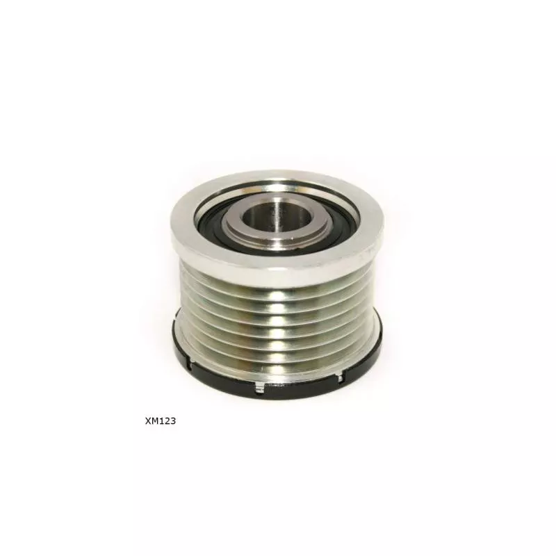 Poulie roue libre, alternateur ENGI TENSIONER XM123