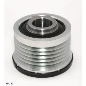 Poulie roue libre, alternateur ENGI TENSIONER XM132