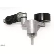 Poulie-tendeur, courroie trapézoïdale à nervures ENGI TENSIONER XM145 - Visuel 2