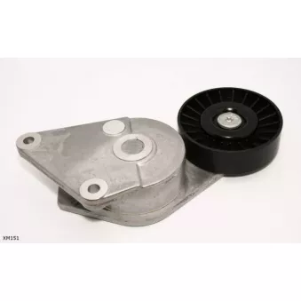 Poulie renvoi/transmission, courroie trapézoïdale à nervures ENGI TENSIONER XM151