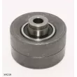 Poulie renvoi/transmission, courroie de distribution ENGI TENSIONER XM219 - Visuel 1