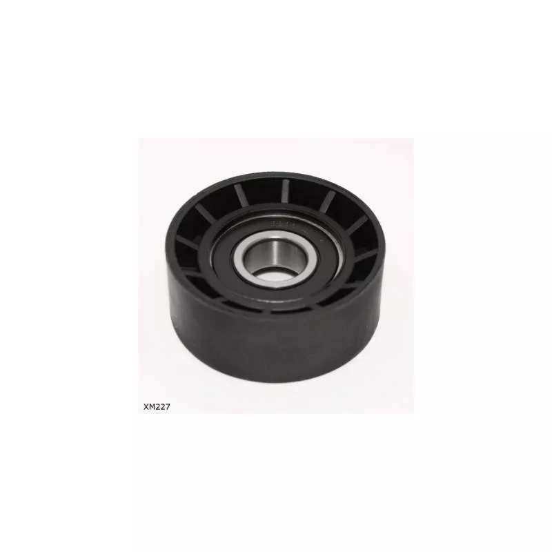 Poulie renvoi/transmission, courroie trapézoïdale à nervures ENGI TENSIONER XM227