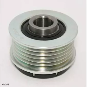 Poulie roue libre, alternateur ENGI TENSIONER XM248