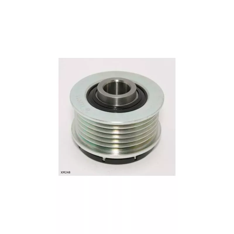 Poulie roue libre, alternateur ENGI TENSIONER XM248