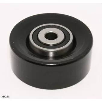 Poulie-tendeur, courroie trapézoïdale à nervures ENGI TENSIONER XM250