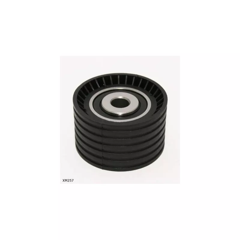Poulie renvoi/transmission, courroie de distribution ENGI TENSIONER XM257