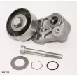 Poulie-tendeur, courroie trapézoïdale à nervures ENGI TENSIONER XM259 - Visuel 2