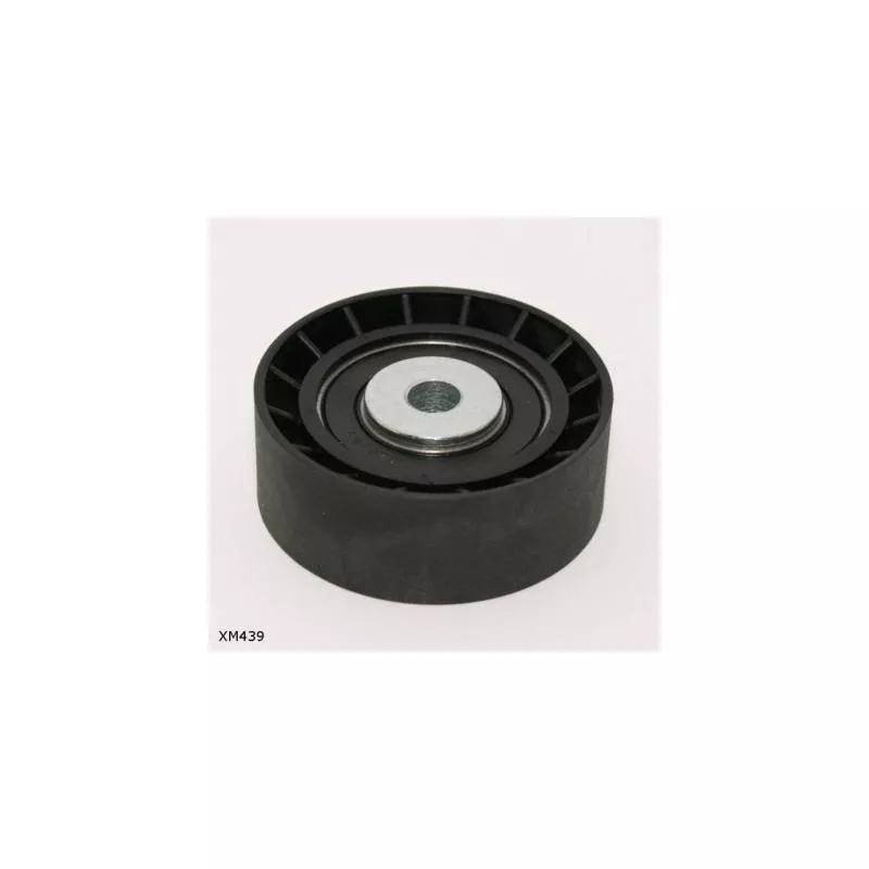 Poulie renvoi/transmission, courroie trapézoïdale à nervures ENGI TENSIONER XM439