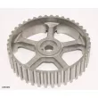 Roue dentée, arbre à came ENGI TENSIONER XM499 - Visuel 1