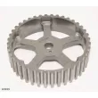 Roue dentée, arbre à came ENGI TENSIONER XM499 - Visuel 2