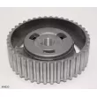 Roue dentée, arbre à contrepoids d'équilibrage ENGI TENSIONER XM520 - Visuel 2