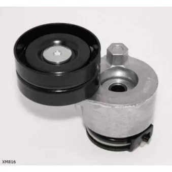 Tendeur de courroie, courroie trapézoïdale à nervures ENGI TENSIONER XM816