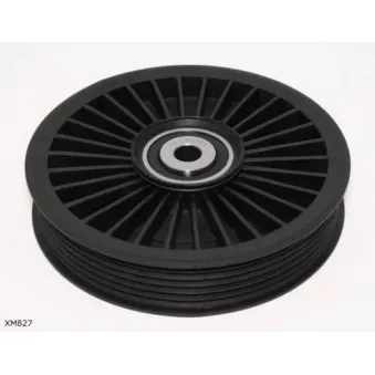 Poulie renvoi/transmission, courroie trapézoïdale à nervures ENGI TENSIONER XM827