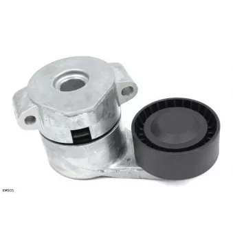 Tendeur, courroie trapézoïdale à nervures ENGI TENSIONER XM935