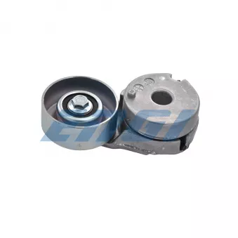 Tendeur, courroie trapézoïdale à nervures ENGI TENSIONER XM954