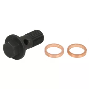 Élément du turbocompresseur EVORON EVMK0206