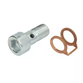 Élément du turbocompresseur EVORON EVMK0211
