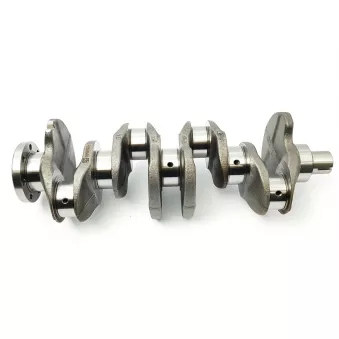 Vilebrequin OE 8200037836