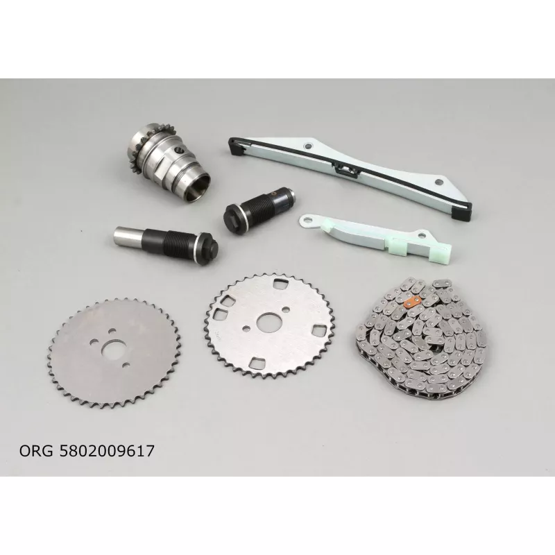Kit de distribution par chaîne OE 5802009617