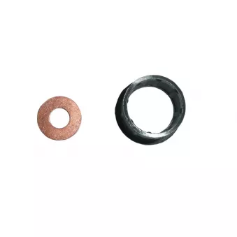 Kit de joints, injecteur TEKNÖR M0024