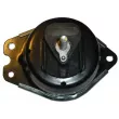 Support moteur TEKNÖR M4461 - Visuel 2