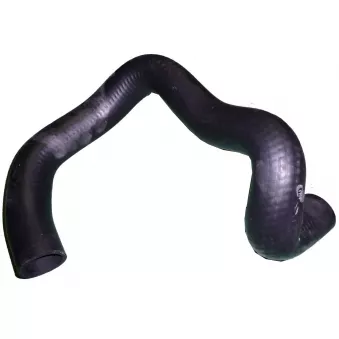Durite de radiateur TEKNÖR M8622