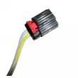 Kit de réparation faisceau débitmètre TEKNÖR S3921 - Visuel 2