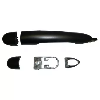 Poignée de porte TEKNÖR ZR3009P