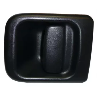 Poignée de porte avant gauche TEKNÖR ZR3505A-FL