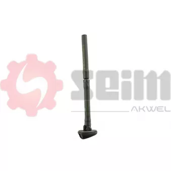 Gicleur d'eau de nettoyage, nettoyage des vitres SEIM 119003