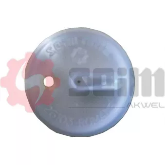 Bouchon, réservoir d'eau de nettoyage SEIM 119302