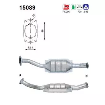 Catalyseur AS 15089