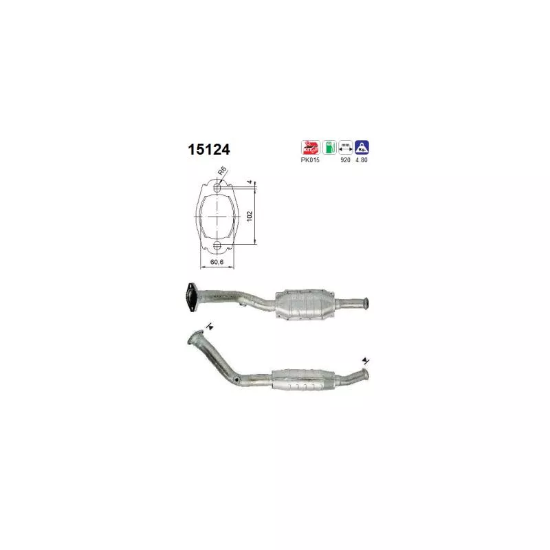 Catalyseur AS 15124