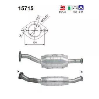 Catalyseur AS 15715