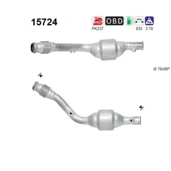 Catalyseur AS 15724