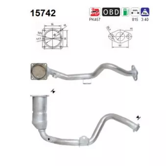 Catalyseur AS 15742