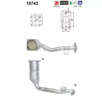 Catalyseur AS 15743