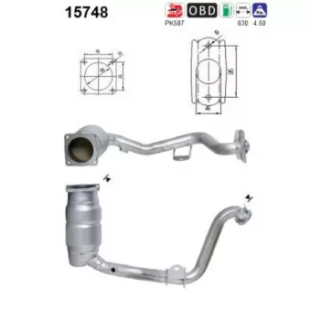 Catalyseur AS 15748
