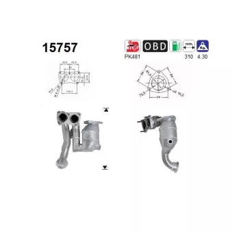 Catalyseur AS 15757