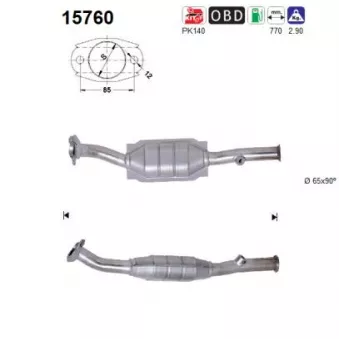 Catalyseur AS 15760