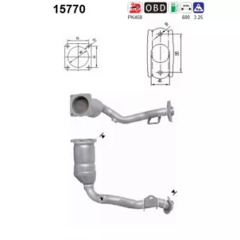 Catalyseur AS 15770