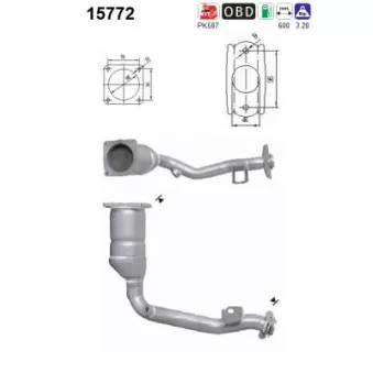 Catalyseur AS 15772